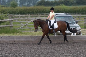 ISIS Dressage Challenge 2008